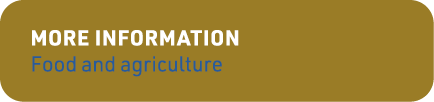 More information Food and agriculture
