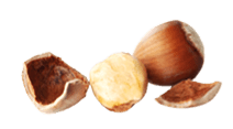 Few hazelnut on white background.