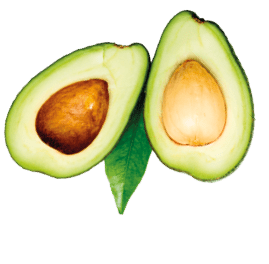 Avocado on white background. Tropical abstract background with avocado and leaf. Flat lay. Top view, copy space