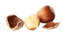 Few hazelnut on white background.