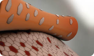 sh_0020_safetac_remove (00055)