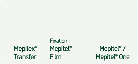 Mepilex® Transfer Fixation : Mepitel® Film Mepitel® / Mepitel® One