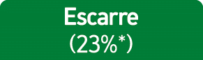 Escarre (23%*)
