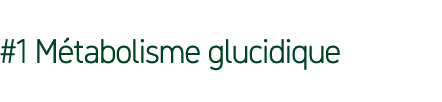 #1 M tabolisme glucidique