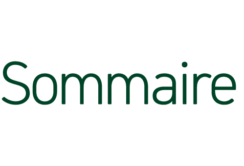 Sommaire