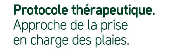 Protocole th rapeutique. Approche de la prise en charge des plaies.