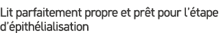 Lit parfaitement propre et pr t pour l’ tape d’ pith lialisation