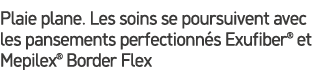 Plaie plane. Les soins se poursuivent avec les pansements perfectionn s Exufiber® et Mepilex® Border Flex