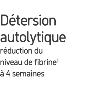 D tersion autolytique r duction du niveau de fibrine1  4 semaines