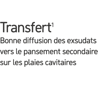 transfert1 Bonne diffusion des exsudats vers le pansement secondaire sur les plaies cavitaires