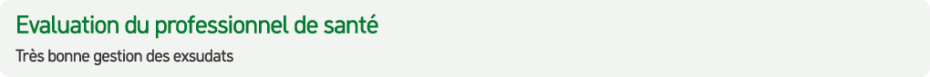 Evaluation du professionnel de sant Tr s bonne gestion des exsudats