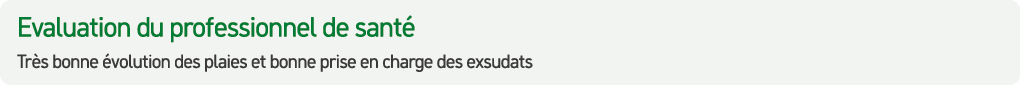 Evaluation du professionnel de sant Tr s bonne  volution des plaies et bonne prise en charge des exsudats