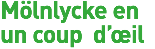 Mölnlycke en un coup d œil