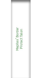 Mepilex® Border Protect Talon