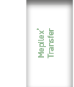 Mepilex® Transfer