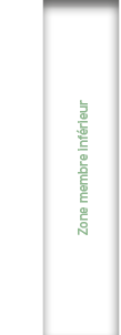  Zone membre inf rieur