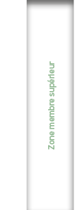  Zone membre sup rieur
