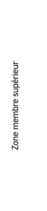 Zone membre sup rieur