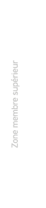 Zone membre sup rieur