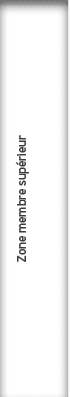Zone membre sup rieur