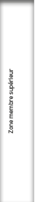 Zone membre sup rieur