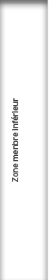 Zone menbre inf rieur