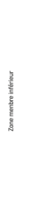 Zone menbre inf rieur