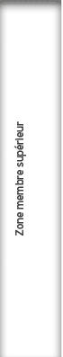 Zone membre sup rieur