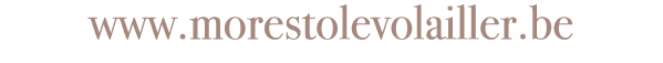 www morestolevolailler be