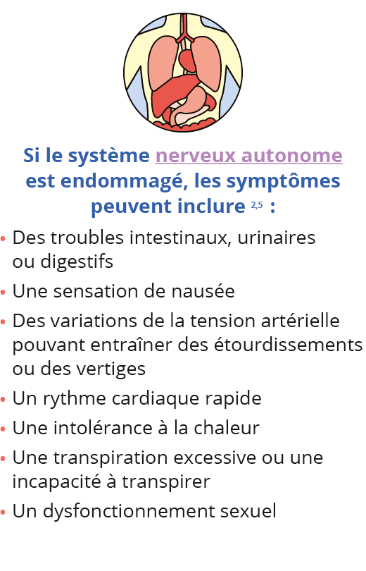  Si le système nerveux autonome est endommagé, les symptômes peuvent inclure 2,5  : Des troubles intestinaux, urinair   