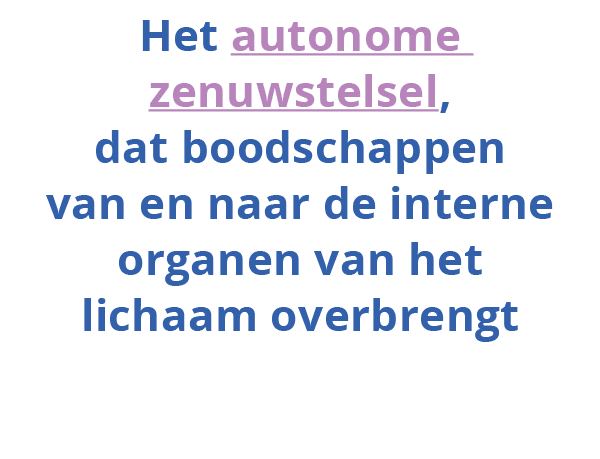  Het autonome zenuwstelsel, dat boodschappen van en naar de interne organen van het lichaam overbrengt